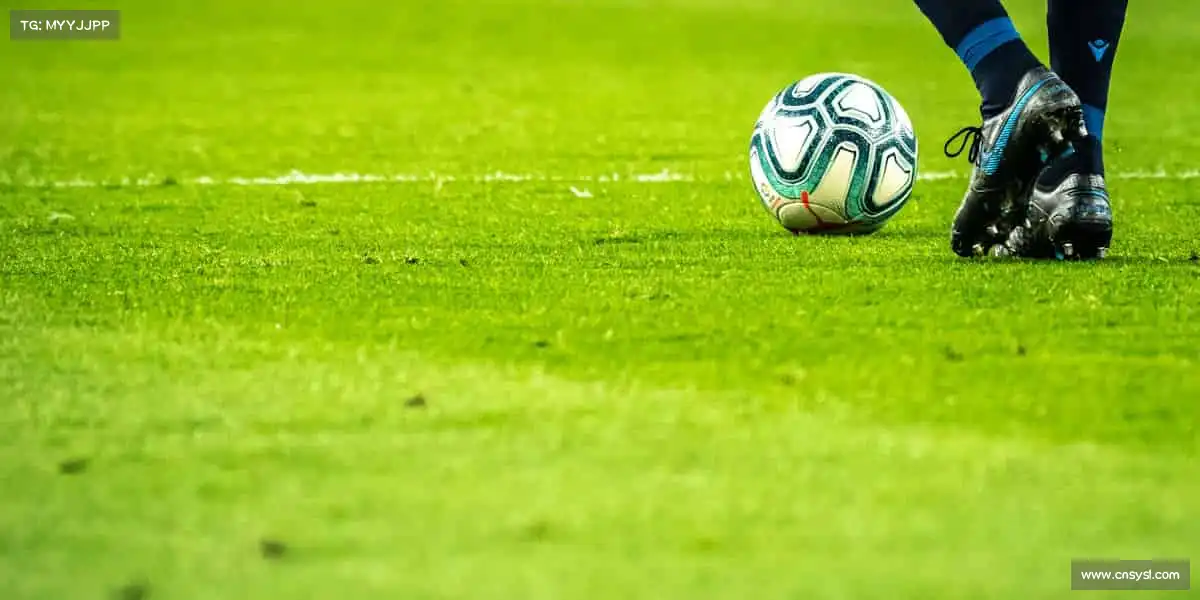 为什么选择我们